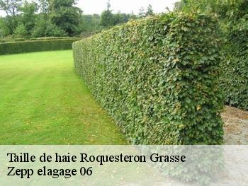 Taille de haie  roquesteron-grasse-06910 Zepp elagage 06