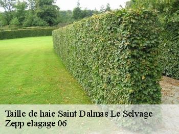 Taille de haie  saint-dalmas-le-selvage-06660 Zepp elagage 06