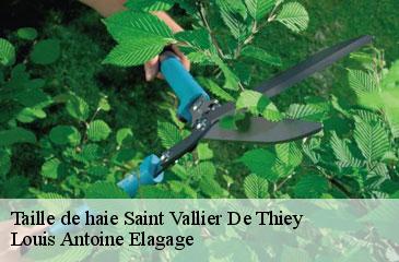 Taille de haie  saint-vallier-de-thiey-06460 Louis Antoine Elagage