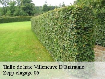 Taille de haie  villeneuve-d-entraune-06470 Zepp elagage 06