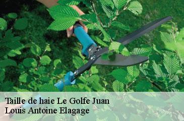 Taille de haie  le-golfe-juan-06220 Louis Antoine Elagage