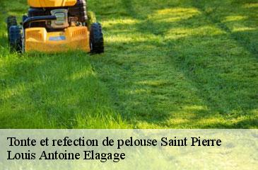 Tonte et refection de pelouse saint-pierre-06260 Louis Antoine Elagage