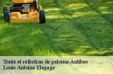Tonte et refection de pelouse  antibes-06600 Louis Antoine Elagage
