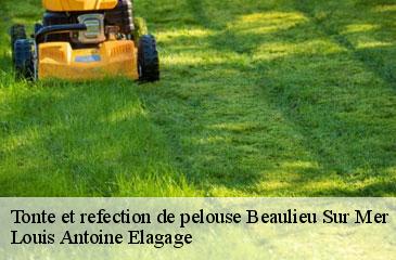 Tonte et refection de pelouse  beaulieu-sur-mer-06310 Louis Antoine Elagage