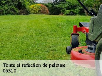 Tonte et refection de pelouse  06310