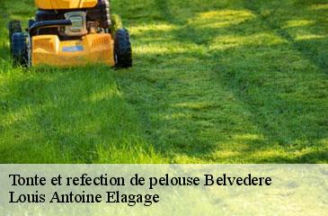 Tonte et refection de pelouse belvedere-06450 Louis Antoine Elagage