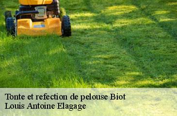 Tonte et refection de pelouse  biot-06410 Louis Antoine Elagage