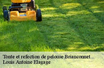 Tonte et refection de pelouse  brianconnet-06850 Louis Antoine Elagage