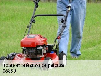 Tonte et refection de pelouse  06850