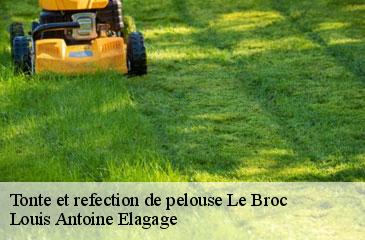 Tonte et refection de pelouse  le-broc-06510 Louis Antoine Elagage