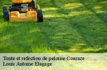 Tonte et refection de pelouse  coaraze-06390 Louis Antoine Elagage