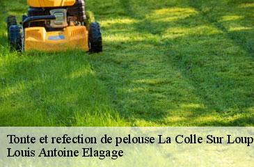 Tonte et refection de pelouse  la-colle-sur-loup-06480 Louis Antoine Elagage