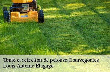 Tonte et refection de pelouse  coursegoules-06140 Louis Antoine Elagage