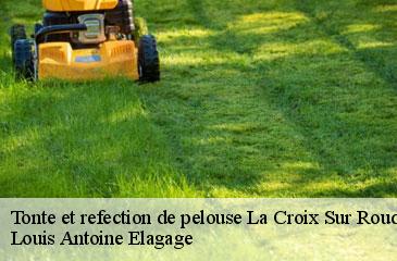 Tonte et refection de pelouse  la-croix-sur-roudoule-06260 Louis Antoine Elagage