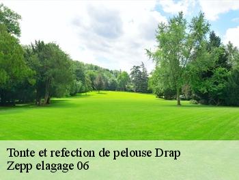 Tonte et refection de pelouse  drap-06340 Zepp elagage 06