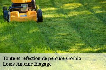 Tonte et refection de pelouse  gorbio-06500 Louis Antoine Elagage