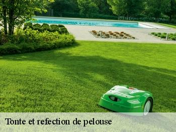 Tonte et refection de pelouse