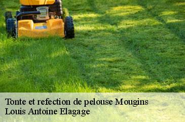 Tonte et refection de pelouse mougins-06250 Louis Antoine Elagage