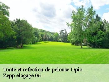 Tonte et refection de pelouse  opio-06650 Zepp elagage 06