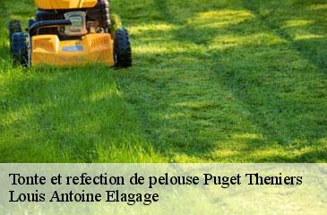 Tonte et refection de pelouse puget-theniers-06260 Louis Antoine Elagage