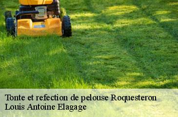 Tonte et refection de pelouse  roquesteron-06910 Louis Antoine Elagage