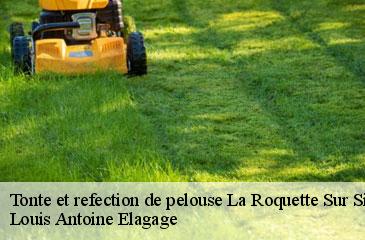 Tonte et refection de pelouse  la-roquette-sur-siagne-06550 Louis Antoine Elagage