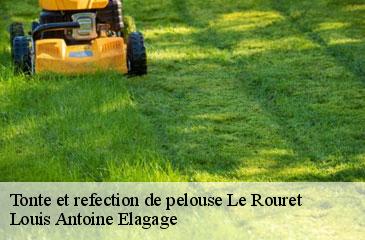 Tonte et refection de pelouse  le-rouret-06650 Louis Antoine Elagage