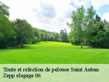 Tonte et refection de pelouse  saint-auban-06850 Zepp elagage 06