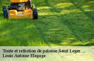 Tonte et refection de pelouse  saint-leger-06260 Louis Antoine Elagage