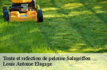 Tonte et refection de pelouse  salagriffon-06910 Louis Antoine Elagage