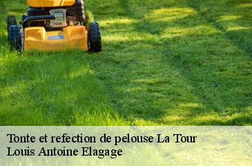 Tonte et refection de pelouse  la-tour-06710 Louis Antoine Elagage