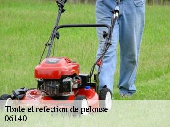 Tonte et refection de pelouse 06140