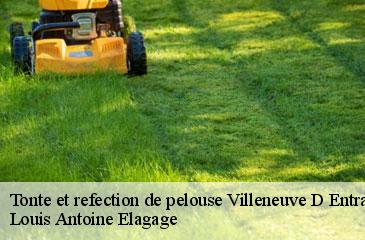 Tonte et refection de pelouse  villeneuve-d-entraune-06470 Louis Antoine Elagage