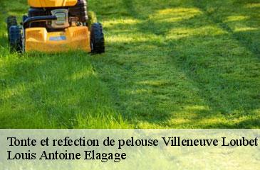 Tonte et refection de pelouse  villeneuve-loubet-06270 Louis Antoine Elagage