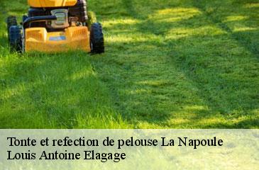 Tonte et refection de pelouse  la-napoule-06210 Louis Antoine Elagage