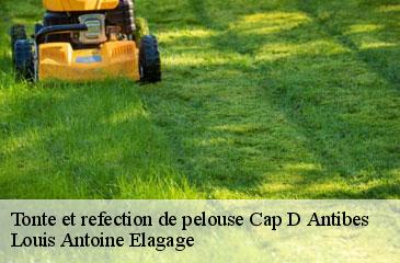 Tonte et refection de pelouse  cap-d-antibes-06160 Louis Antoine Elagage