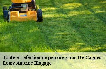 Tonte et refection de pelouse cros-de-cagnes-06800 Louis Antoine Elagage