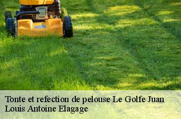 Tonte et refection de pelouse  le-golfe-juan-06220 Louis Antoine Elagage