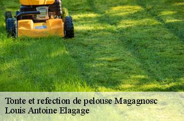 Tonte et refection de pelouse  magagnosc-06520 Louis Antoine Elagage