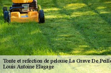 Tonte et refection de pelouse  la-grave-de-peille-06440 Louis Antoine Elagage