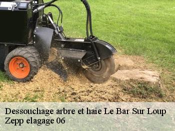 Dessouchage arbre et haie le-bar-sur-loup-06620 Zepp elagage 06