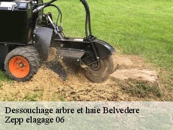 Dessouchage arbre et haie  belvedere-06450 Zepp elagage 06