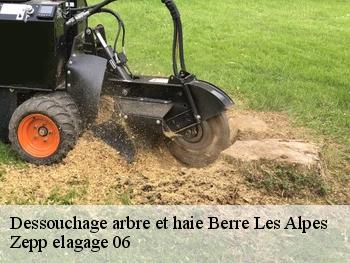 Dessouchage arbre et haie berre-les-alpes-06390 Zepp elagage 06