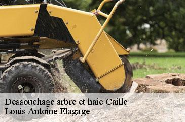Dessouchage arbre et haie caille-06750 Louis Antoine Elagage