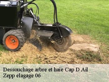 Dessouchage arbre et haie  cap-d-ail-06320 Zepp elagage 06