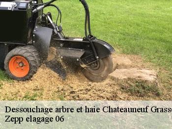 Dessouchage arbre et haie  chateauneuf-grasse-06740 Zepp elagage 06