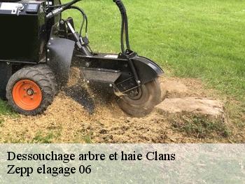 Dessouchage arbre et haie  clans-06420 Zepp elagage 06