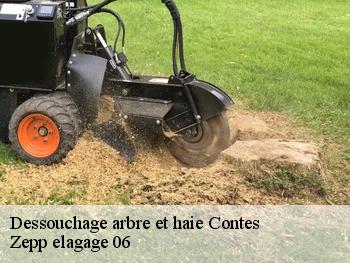 Dessouchage arbre et haie contes-06390 Zepp elagage 06