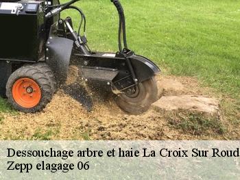 Dessouchage arbre et haie la-croix-sur-roudoule-06260 Zepp elagage 06