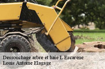 Dessouchage arbre et haie  l-escarene-06440 Louis Antoine Elagage
